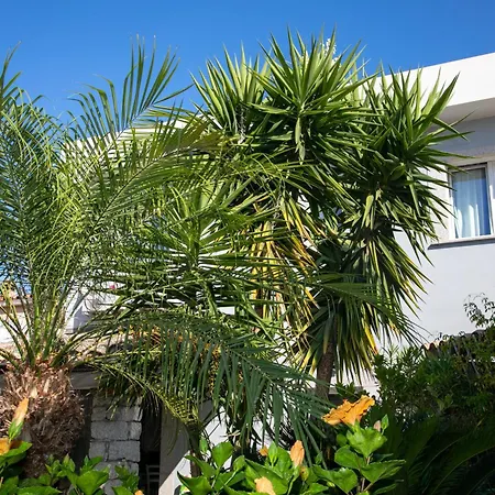 Hibiscus 3* Villasimius