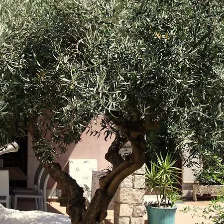 Bed & Breakfast Hibiscus B&B Villasimius