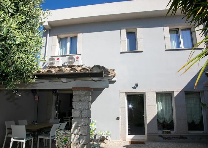 Hibiscus 3* 维拉西米乌斯