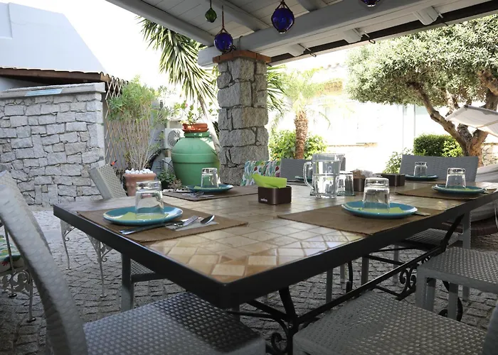 Hibiscus 3* 维拉西米乌斯