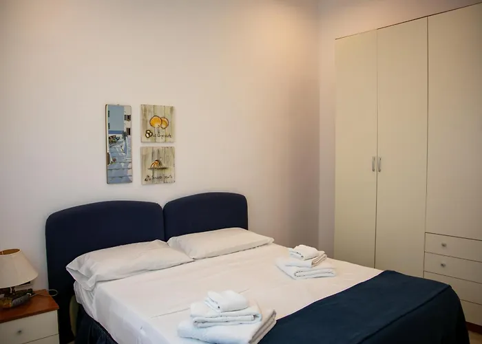 Hibiscus 3* 维拉西米乌斯