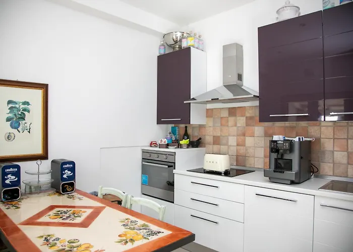 Hibiscus 3* 维拉西米乌斯