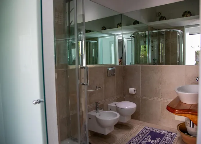 Hibiscus 3* 维拉西米乌斯