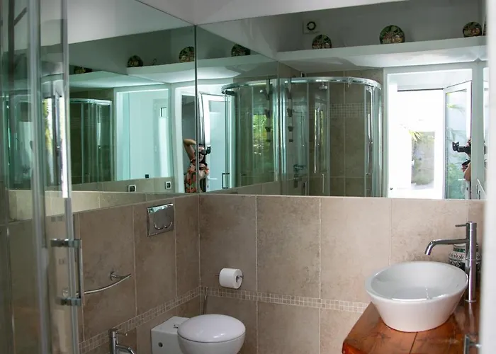 Hibiscus 维拉西米乌斯