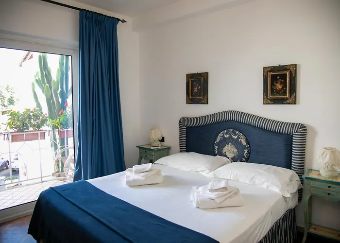 Hibiscus 维拉西米乌斯