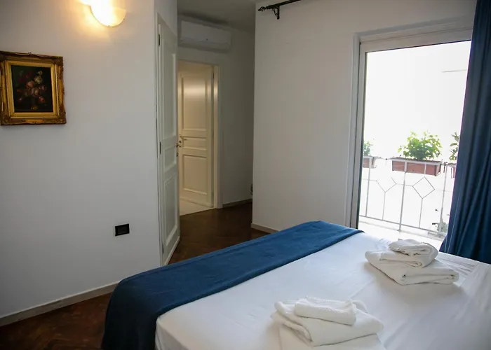 Hibiscus 3* 维拉西米乌斯