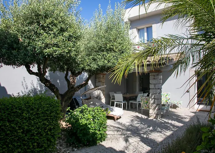 Hibiscus 住宿加早餐酒店 维拉西米乌斯